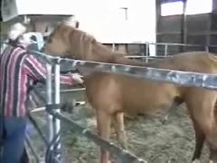 Here, a diligent ranch hand rewards himself by allowing a horse to give him an unimaginable asshole fuck.